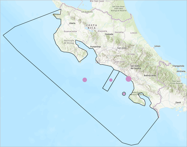 Summarize whale sightings within marine protected areas